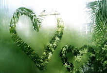 国足对阵新加坡，能顺利拿下三分吗？